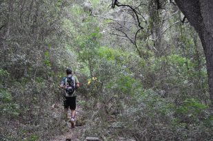 Ruta hacia el Barranc d-Algendar