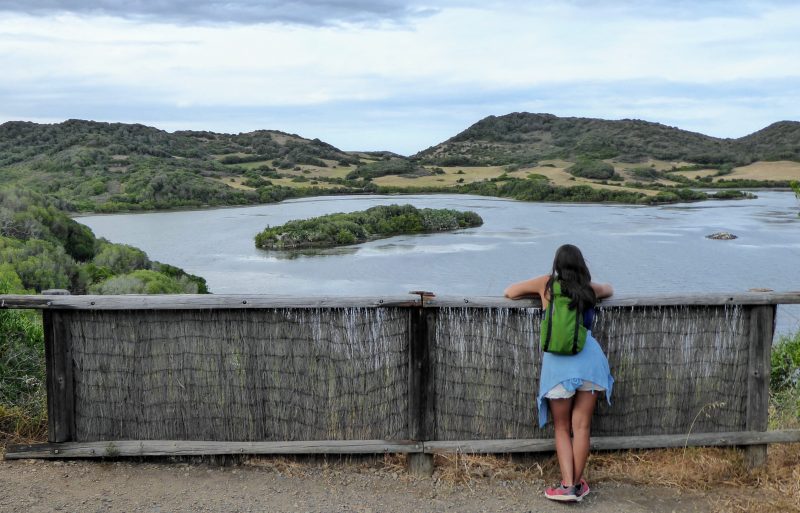 Albufera des Grau viewpoint